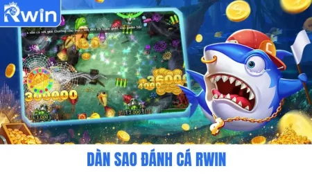 D&agrave;n sao đ&aacute;nh c&aacute; JL14