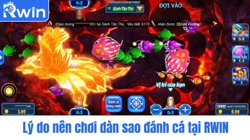 Reasons to play All Star Fishing at JL14