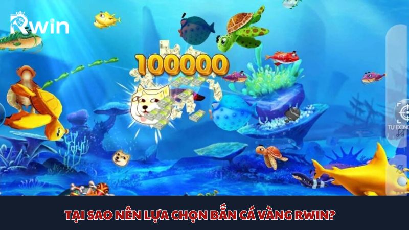 Connect friends across continents with JL14 Goldfish Shooting