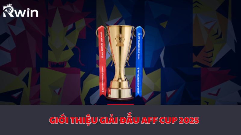 Overview of AFF Cup 2025 JL14