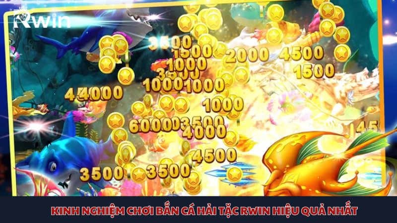 JL14 Pirate Fish Shooting Experience for Newbies
